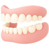 정밀검진 및 상담