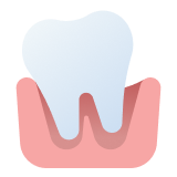 정밀검진 및 상담