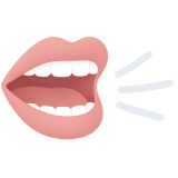 정밀검진 및 상담