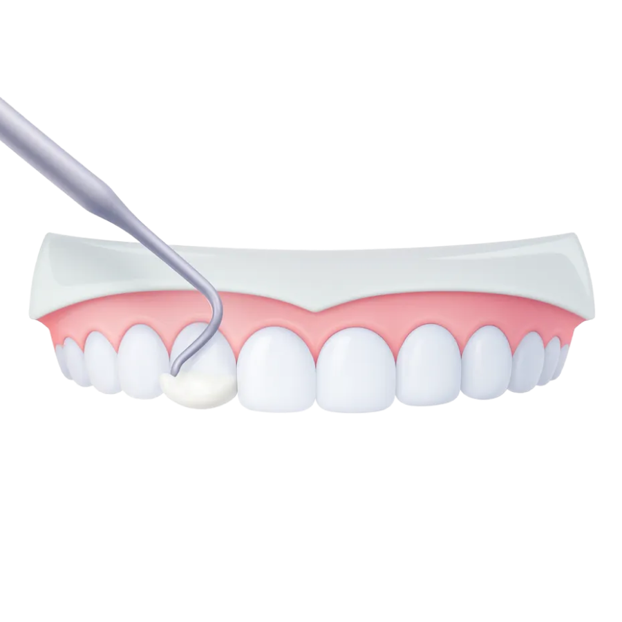 라이브치과병원