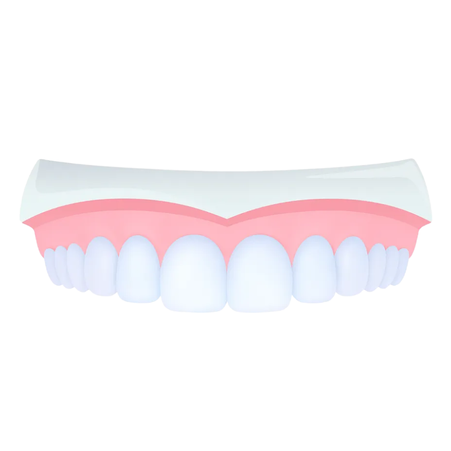 라이브치과병원